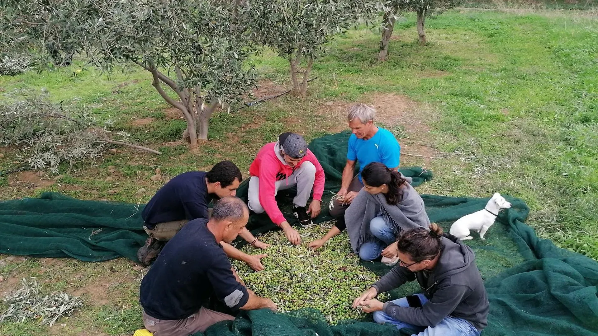 Tenuta Naturale Villa San Pietro Ιταλία